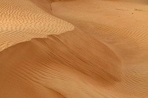 image gallery 1
